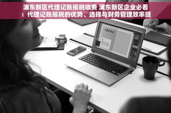 浦东新区代理记账报税收费 浦东新区企业必看：代理记账报税的优势、选择与财务管理效率提升