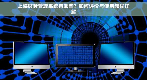 上海财务管理系统有哪些？如何评价与使用教程详解