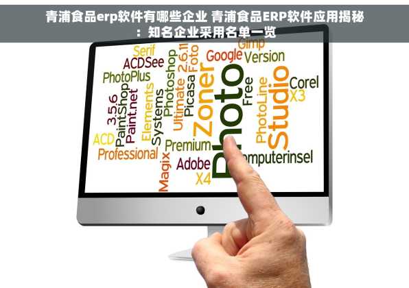 青浦食品erp软件有哪些企业 青浦食品ERP软件应用揭秘：知名企业采用名单一览