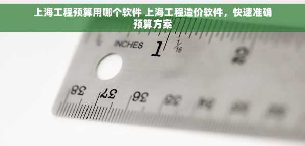 上海工程预算用哪个软件 上海工程造价软件，快速准确预算方案