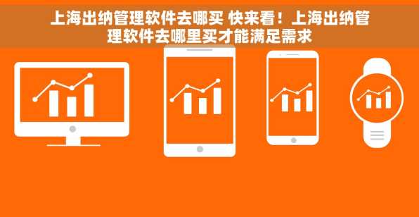 上海出纳管理软件去哪买 快来看！上海出纳管理软件去哪里买才能满足需求