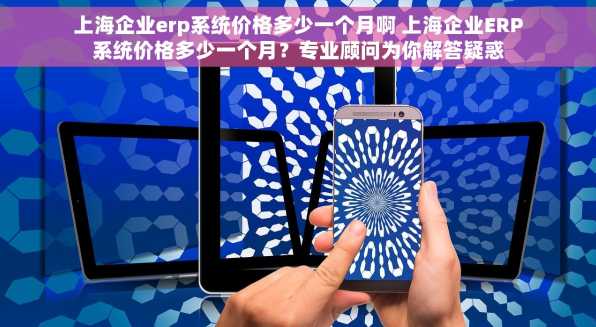 上海企业erp系统价格多少一个月啊 上海企业ERP系统价格多少一个月？专业顾问为你解答疑惑