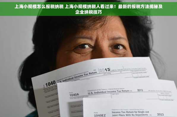 上海小规模怎么报税纳税 上海小规模纳税人看过来！最新的报税方法揭秘及企业纳税技巧