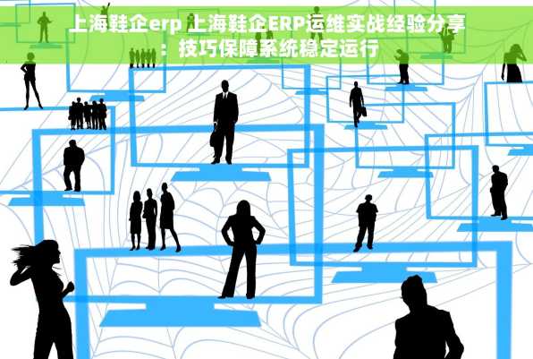 上海鞋企erp 上海鞋企ERP运维实战经验分享：技巧保障系统稳定运行