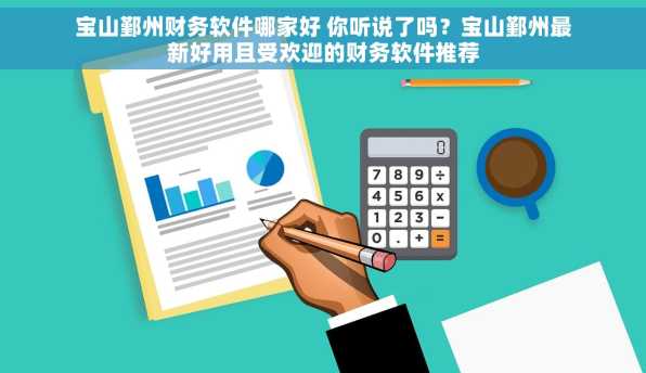 宝山鄞州财务软件哪家好 你听说了吗？宝山鄞州最新好用且受欢迎的财务软件推荐