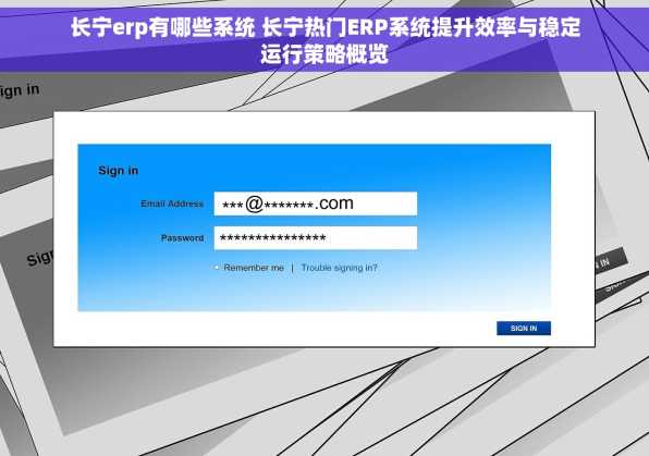 长宁erp有哪些系统 长宁热门ERP系统提升效率与稳定运行策略概览