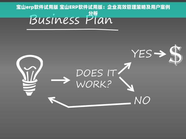 宝山erp软件试用版 宝山ERP软件试用版：企业高效管理策略及用户案例分析