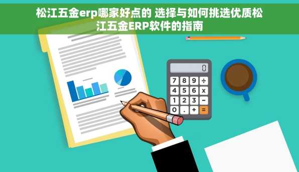 松江五金erp哪家好点的 选择与如何挑选优质松江五金ERP软件的指南