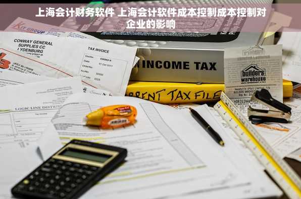 上海会计财务软件 上海会计软件成本控制成本控制对企业的影响