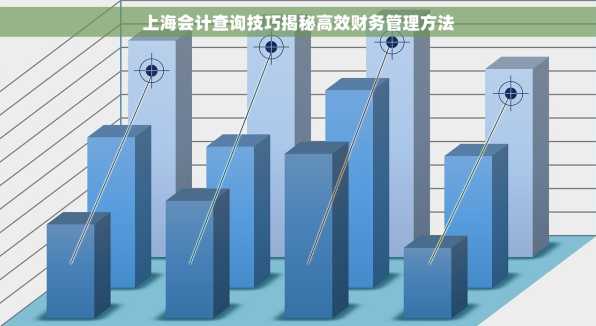 上海会计查询技巧揭秘高效财务管理方法