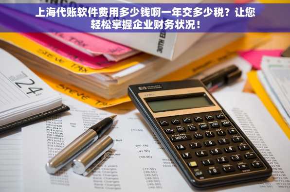 上海代账软件费用多少钱啊一年交多少税？让您轻松掌握企业财务状况！