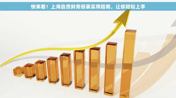快来看！上海自然财务报表实用指南，让你轻松上手