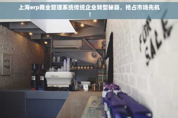 上海erp商业管理系统传统企业转型秘籍，抢占市场先机！
