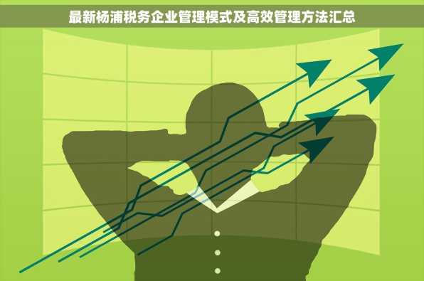 最新杨浦税务企业管理模式及高效管理方法汇总