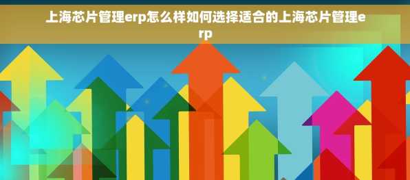 上海芯片管理erp怎么样如何选择适合的上海芯片管理erp