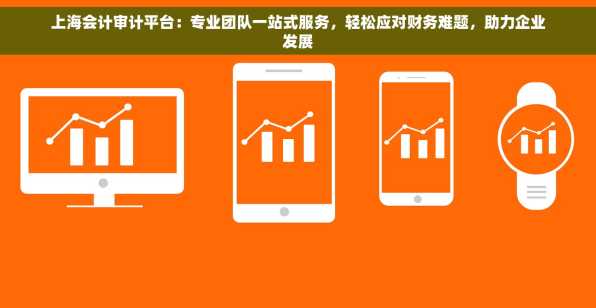 上海会计审计平台：专业团队一站式服务，轻松应对财务难题，助力企业发展