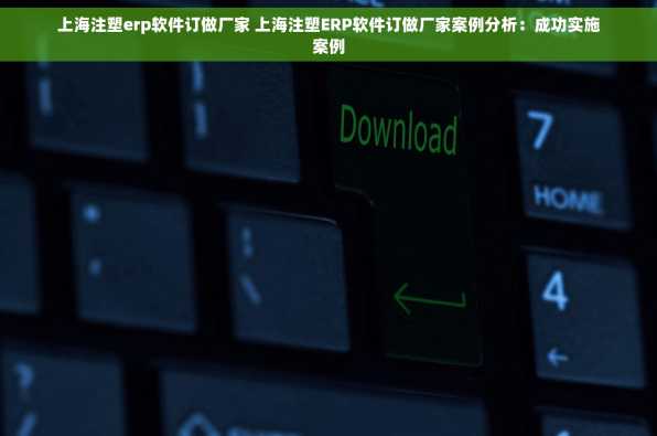 上海注塑erp软件订做厂家 上海注塑ERP软件订做厂家案例分析：成功实施案例