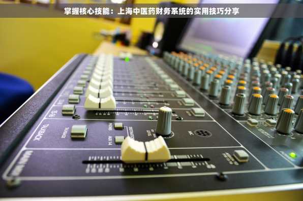 掌握核心技能：上海中医药财务系统的实用技巧分享