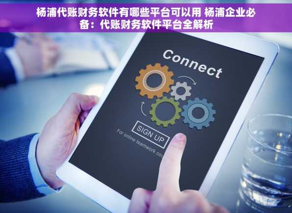 杨浦代账财务软件有哪些平台可以用 杨浦企业必备：代账财务软件平台全解析