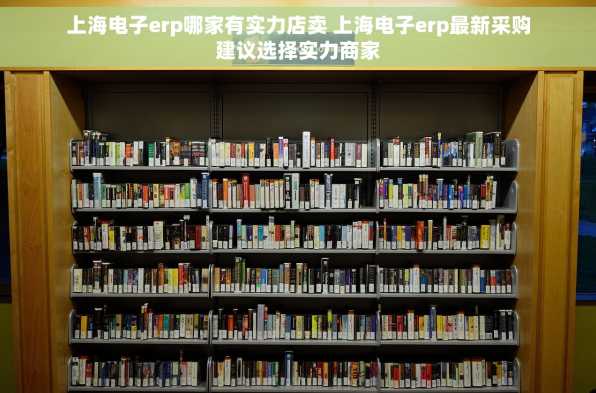 上海电子erp哪家有实力店卖 上海电子erp最新采购建议选择实力商家