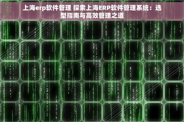 上海erp软件管理 探索上海ERP软件管理系统：选型指南与高效管理之道