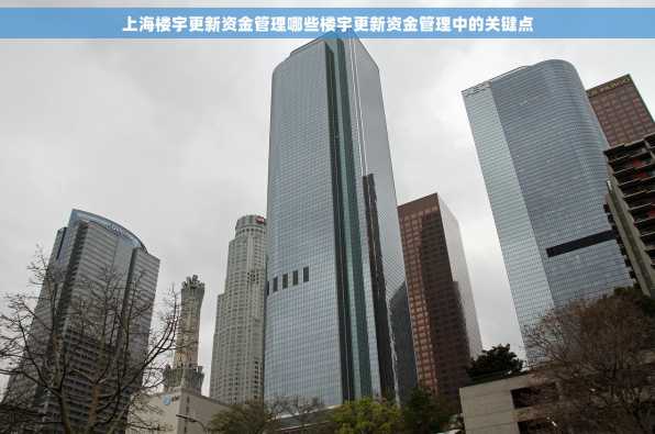 上海楼宇更新资金管理哪些楼宇更新资金管理中的关键点