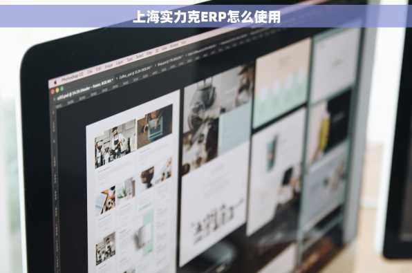 上海实力克ERP怎么使用