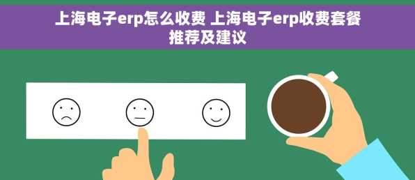 上海电子erp怎么收费 上海电子erp收费套餐推荐及建议