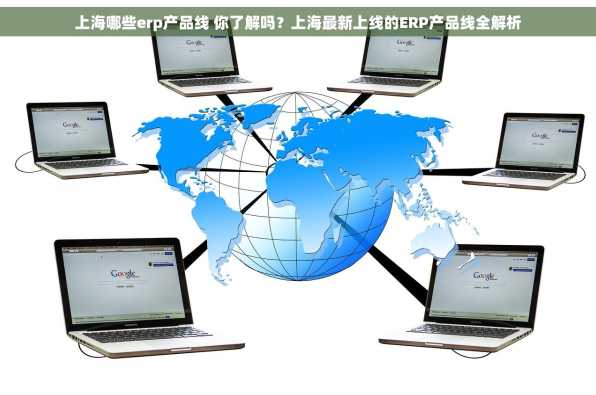 上海哪些erp产品线 你了解吗？上海最新上线的ERP产品线全解析