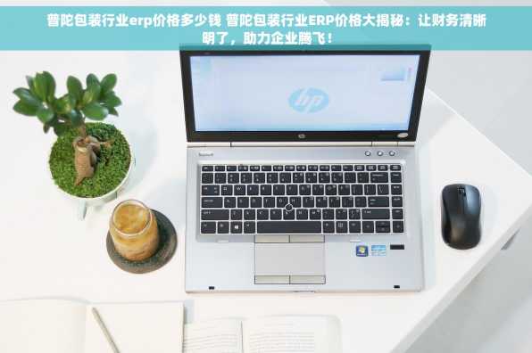 普陀包装行业erp价格多少钱 普陀包装行业ERP价格大揭秘：让财务清晰明了，助力企业腾飞！