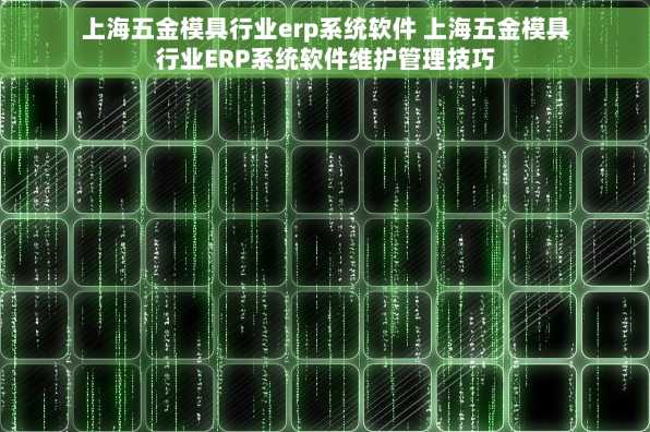 上海五金模具行业erp系统软件 上海五金模具行业ERP系统软件维护管理技巧