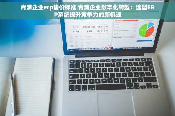 青浦企业erp售价标准 青浦企业数字化转型：选型ERP系统提升竞争力的新机遇