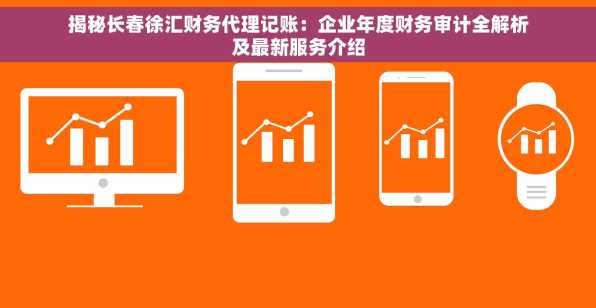 揭秘长春徐汇财务代理记账：企业年度财务审计全解析及最新服务介绍