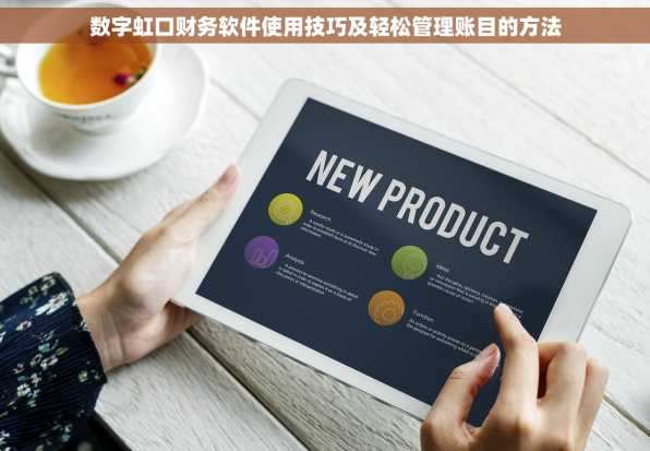 数字虹口财务软件使用技巧及轻松管理账目的方法