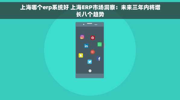 上海哪个erp系统好 上海ERP市场洞察：未来三年内将增长八个趋势