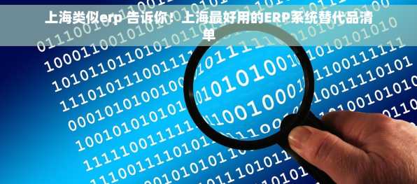 上海类似erp 告诉你！上海最好用的ERP系统替代品清单