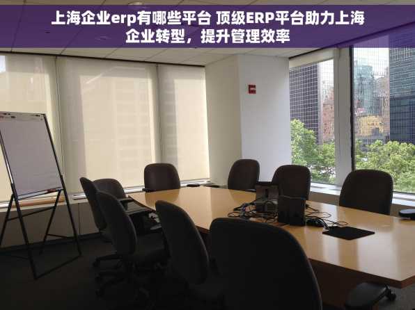 上海企业erp有哪些平台 顶级ERP平台助力上海企业转型，提升管理效率