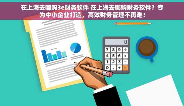 在上海去哪购3e财务软件 在上海去哪购财务软件？专为中小企业打造，高效财务管理不再难！