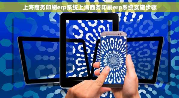 上海商务印刷erp系统上海商务印刷erp系统实施步骤
