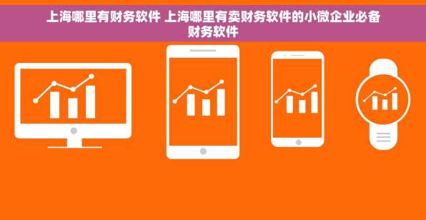 上海哪里有财务软件 上海哪里有卖财务软件的小微企业必备财务软件