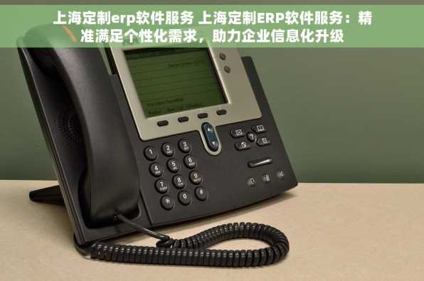 上海定制erp软件服务 上海定制ERP软件服务：精准满足个性化需求，助力企业信息化升级