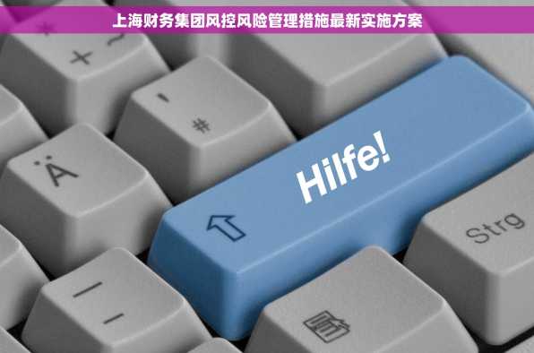 上海财务集团风控风险管理措施最新实施方案
