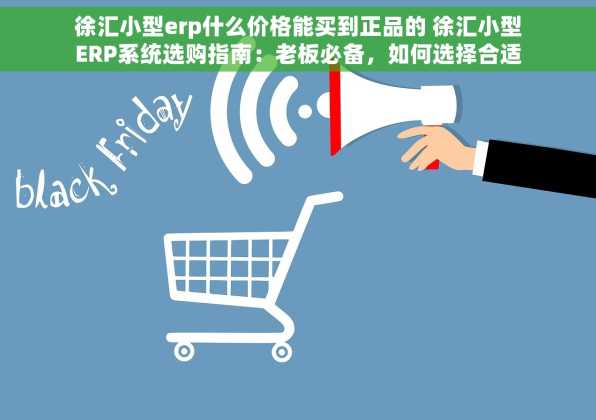 徐汇小型erp什么价格能买到正品的 徐汇小型ERP系统选购指南：老板必备，如何选择合适的ERP提升企业管理