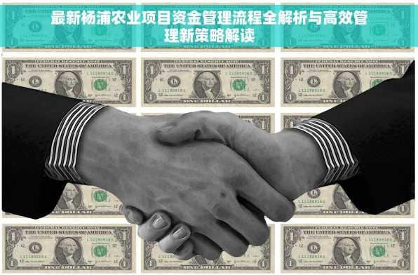 最新杨浦农业项目资金管理流程全解析与高效管理新策略解读
