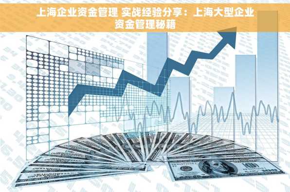 上海企业资金管理 实战经验分享：上海大型企业资金管理秘籍