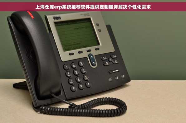 上海仓库erp系统推荐软件提供定制服务解决个性化需求