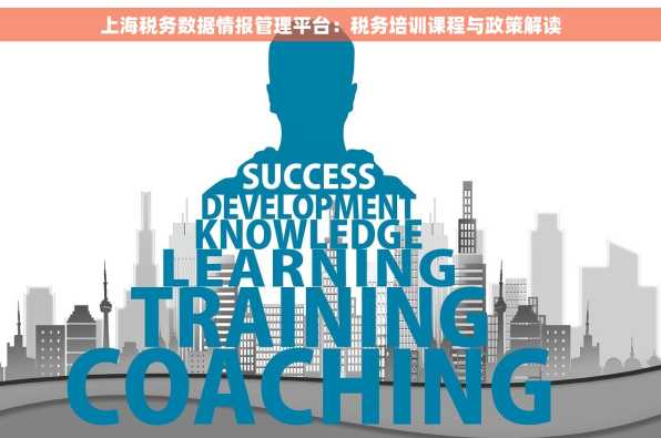 上海税务数据情报管理平台：税务培训课程与政策解读
