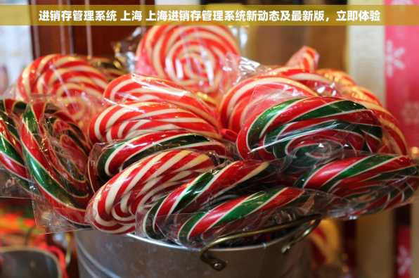进销存管理系统 上海 上海进销存管理系统新动态及最新版，立即体验