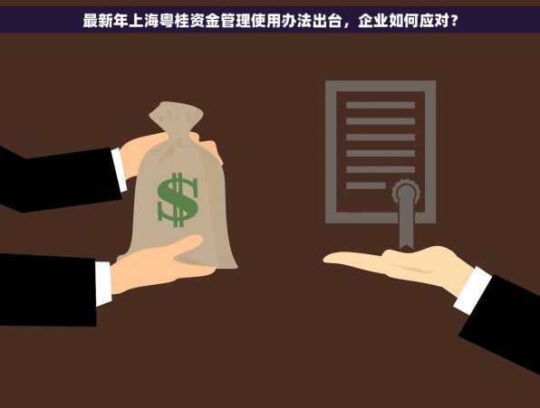 最新年上海粤桂资金管理使用办法出台，企业如何应对？