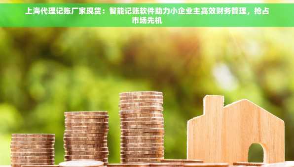上海代理记账厂家现货：智能记账软件助力小企业主高效财务管理，抢占市场先机